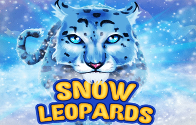 Snow Leopards