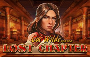 Cat Wilde and the Lost Chapter